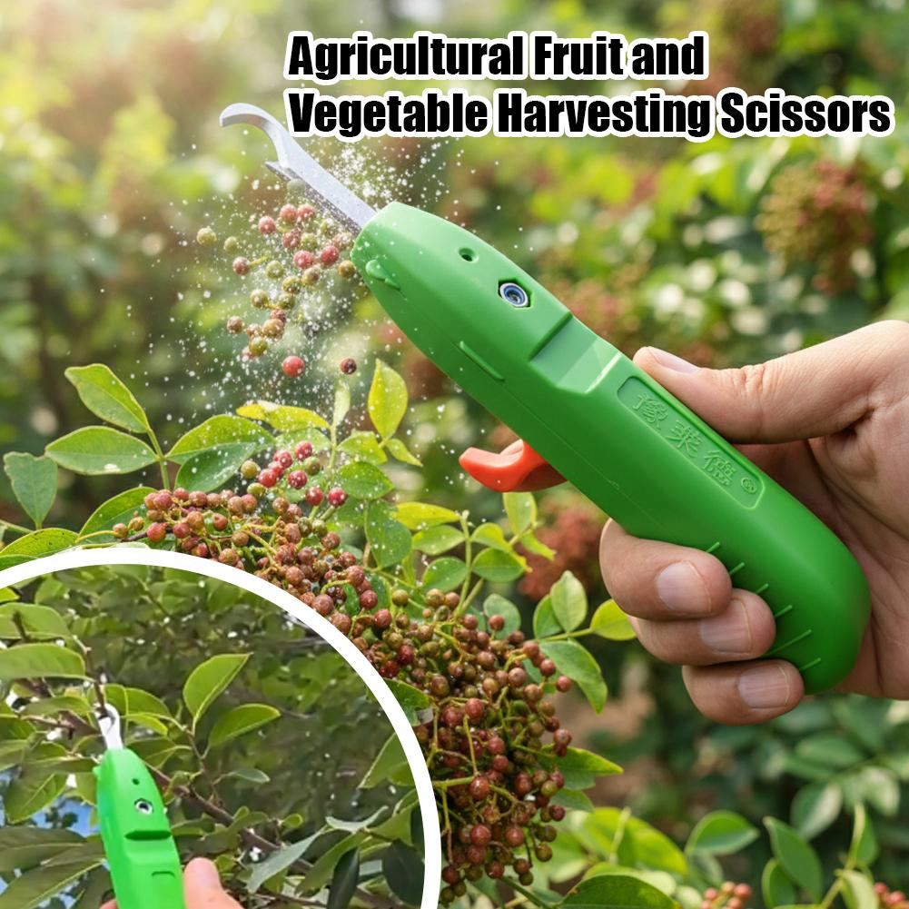 Sekatory ogrodnicze, narzędzia – Gardening Tools Scissors recenzja i cena