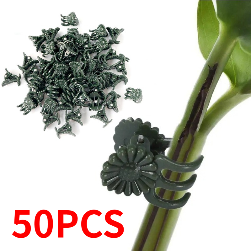50 szt. 5-ramiennych ciemnozie – Gardening Tools Bundle recenzja i cena