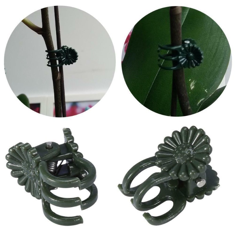 50 szt. 5-ramiennych ciemnozie – Gardening Tools Bundle recenzja i cena