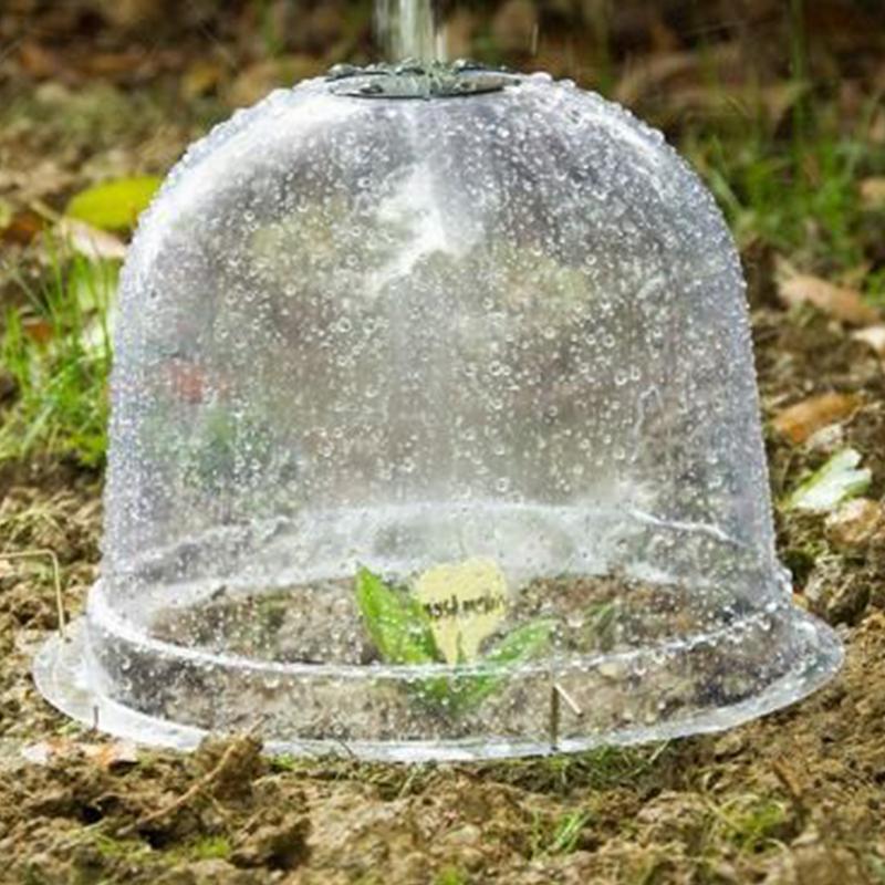 Klosz nawilżający do roślin, o – Propagation Tray Dome recenzja i cena