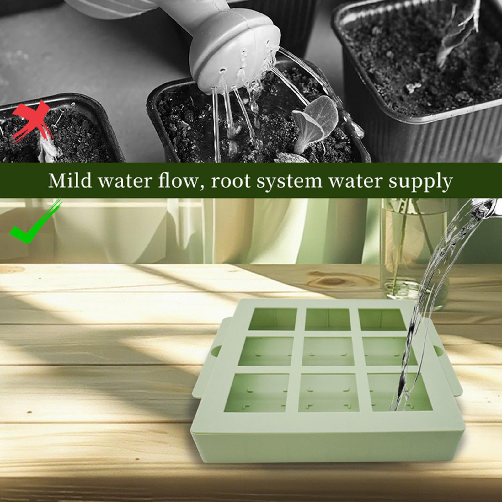 Taca do rozsady roślin, wielok – Propagation Tray Dome recenzja i cena