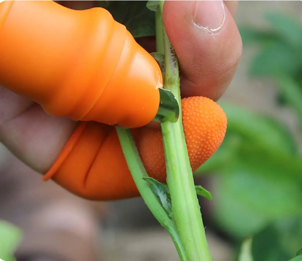 Ochraniacze na palce z silikon – Harvest Knife Garden recenzja i cena