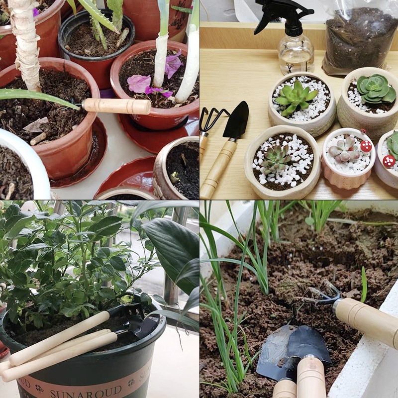 3 szt./1 zestaw Mini narzędzia – Gardening Tools Bundle recenzja i cena