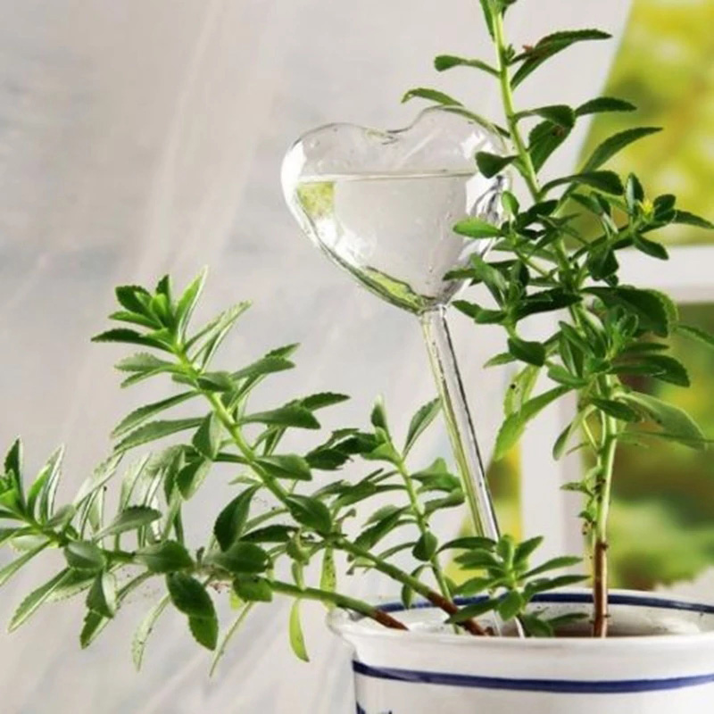 Dom/ogród woda roślina doniczk – Gardening Tools Equipment recenzja i cena