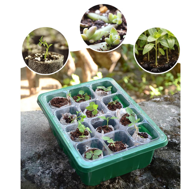 6/12 otworów taca na nasiona z – Propagation Tray Dome recenzja i cena