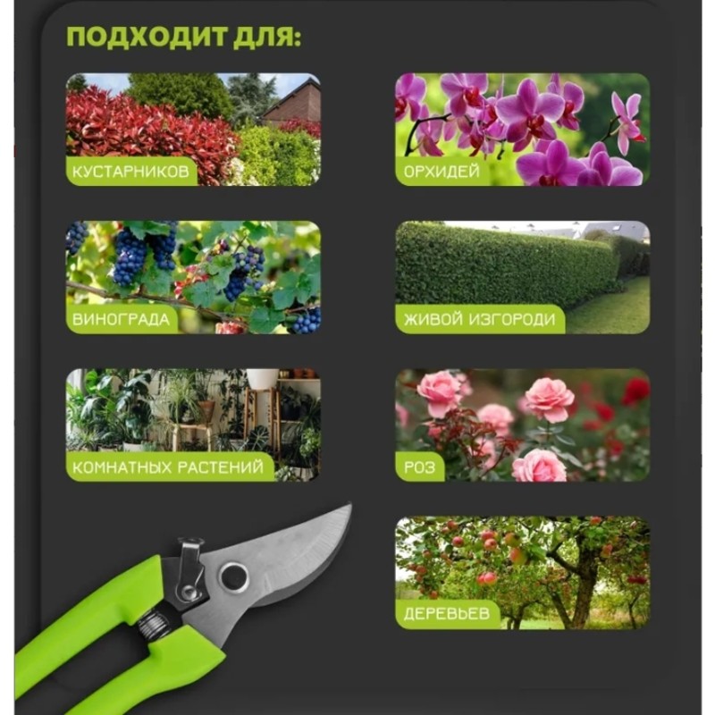 【REDUKCJA CENOWA】Sekator ogrod – Gardening Tools Price recenzja i cena