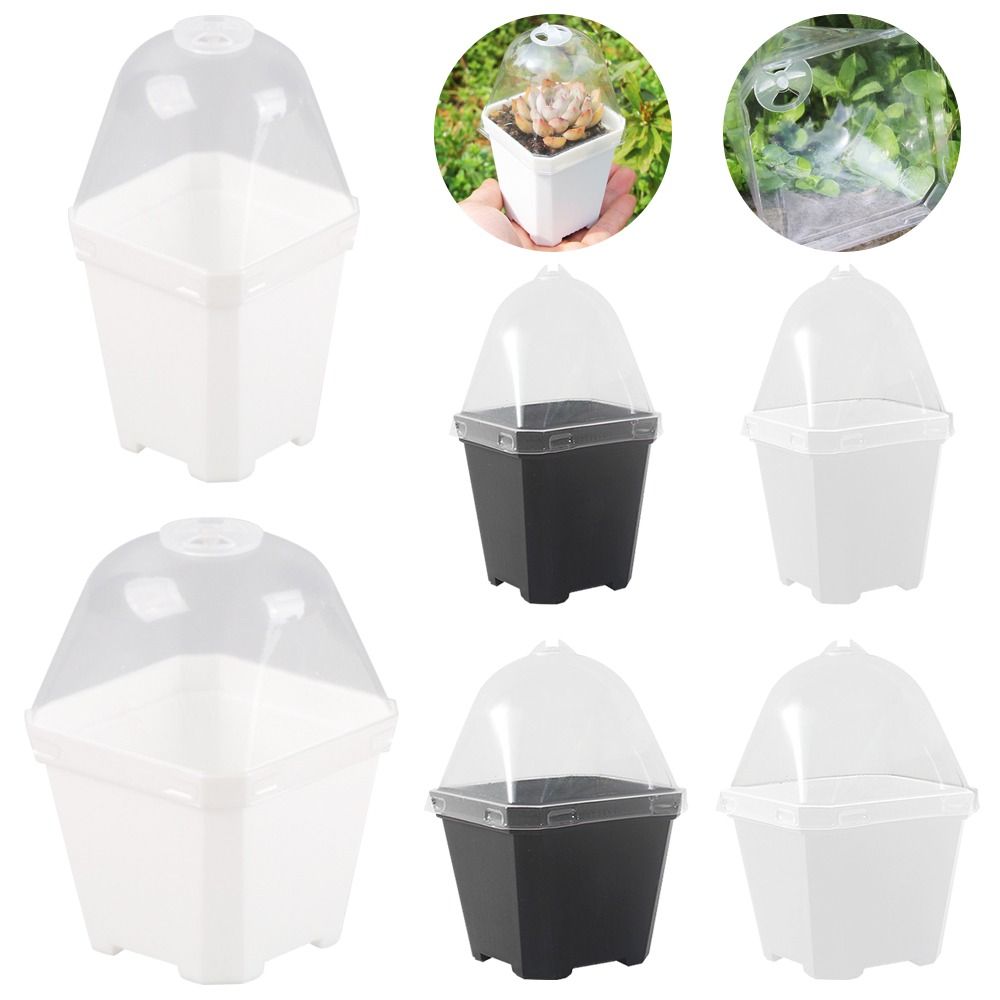 5 szt. Kopułki nawilżające do  – Propagation Tray Dome recenzja i cena