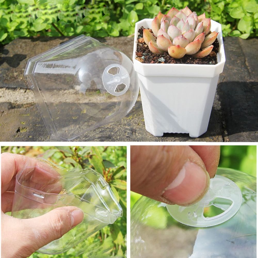 5 szt. Kopułki nawilżające do  – Propagation Tray Dome recenzja i cena