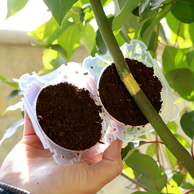 10-częściowy zestaw do rozmnaż – Gardening Tools Equipment recenzja i cena